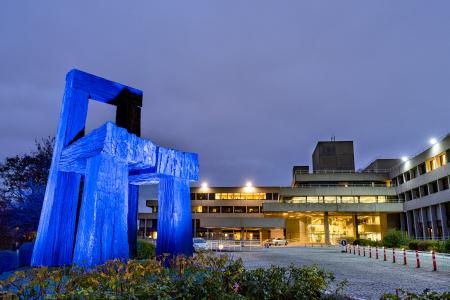 EIB chair illuminated in blue for UNICEF World Children's Day 2020 #GoBlue Campaign EIB chair illuminated in blue for UNICEF World Children's Day 2020 #GoBlue Campaign 20-11-2020