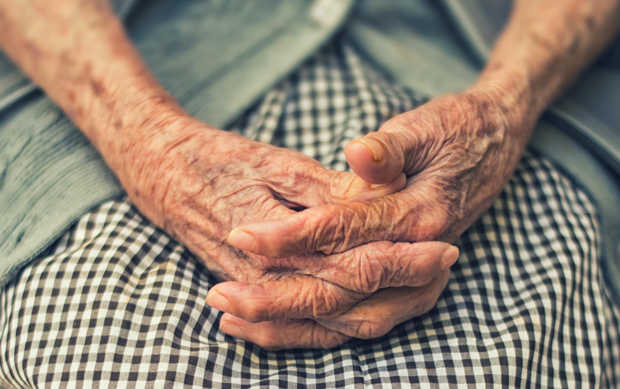 >@Cristian Newman/Unsplash