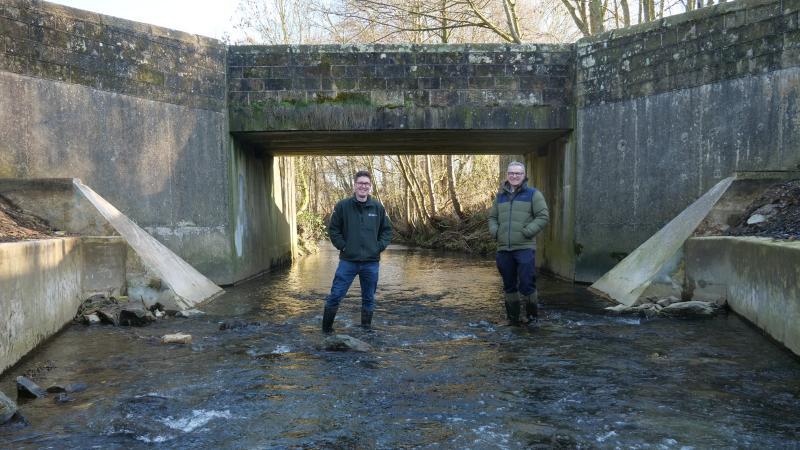 >@Dam Removal Europe