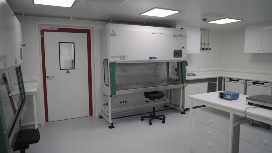 Univercells (IDFF)