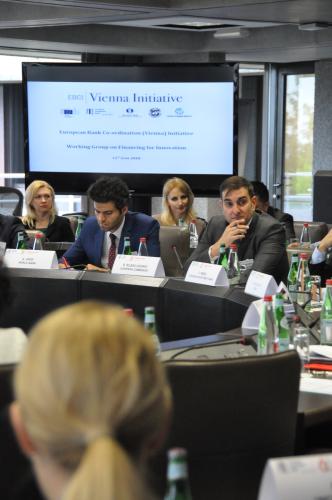 Vienna Initiative Working Group