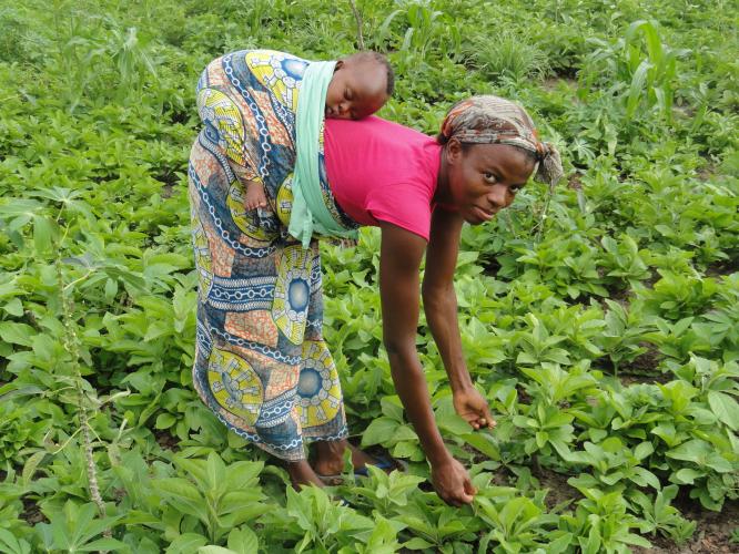 West Africa Microfinance Facility