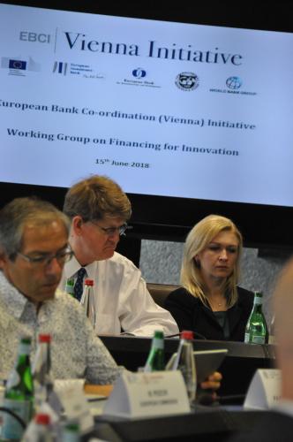 Vienna Initiative Working Group
