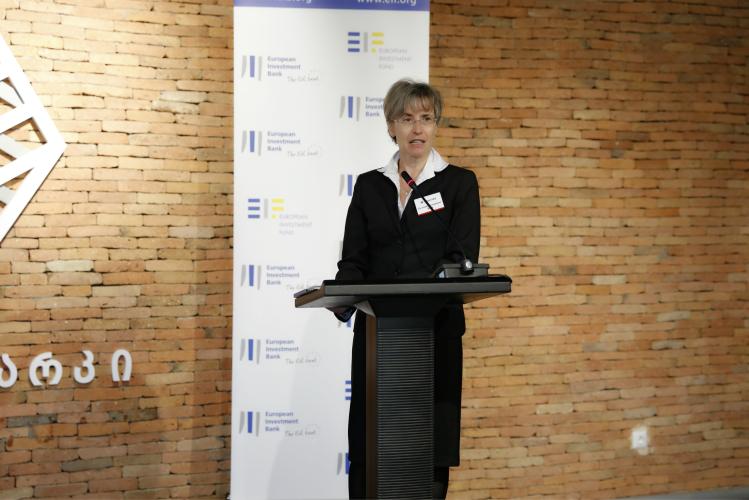 EU4Business in Georgia
