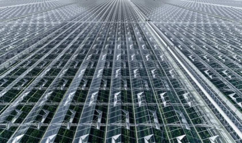 NBG + Piraeus Bank Loan for Agriculture & Bioeconomy