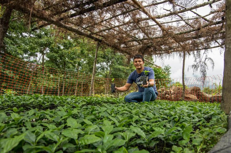 Land Degradation Neutrality Fund LCFP