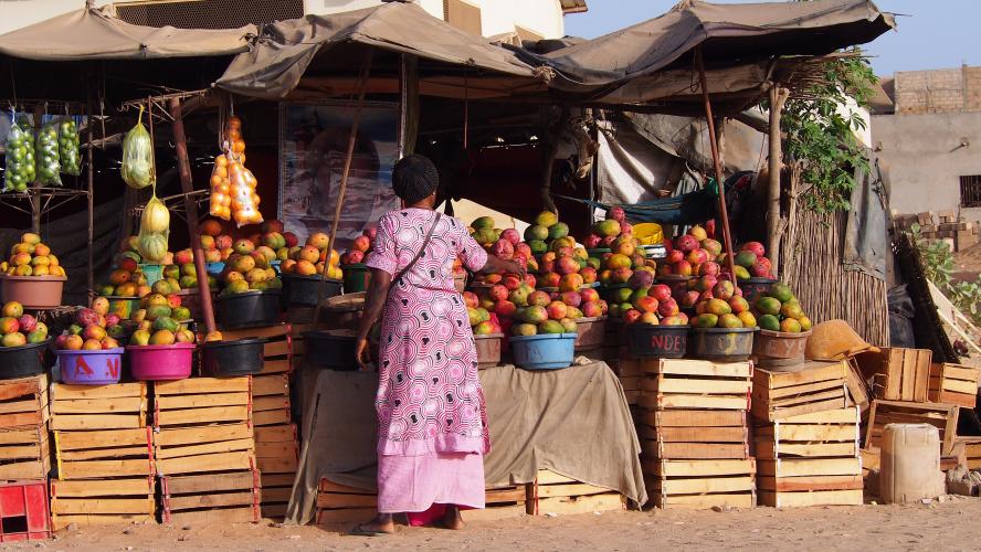 FEFISOL Microfinance Fund II