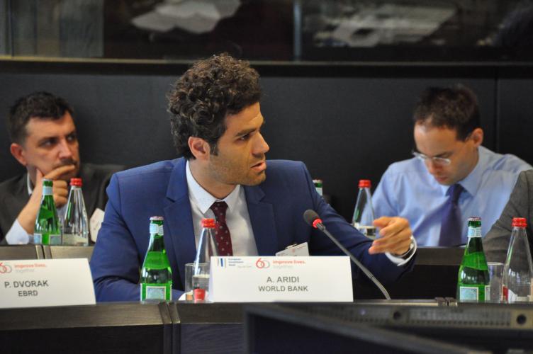 Vienna Initiative Working Group