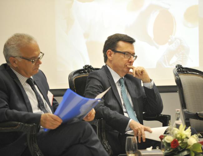 Mr Radhi Meddeb ; Mr Román Escolano