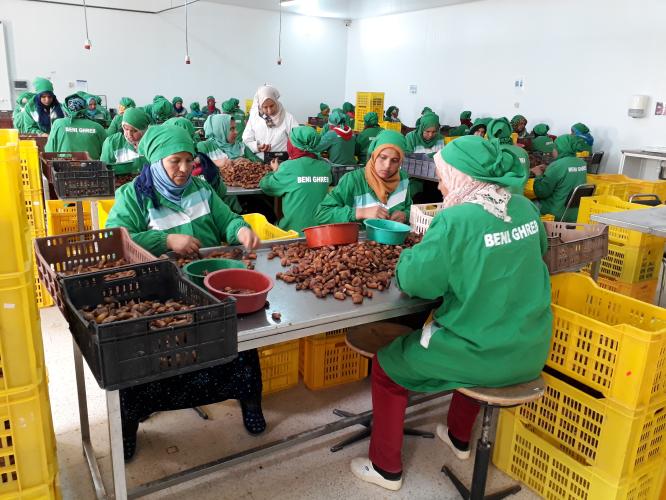 FEFISOL Microfinance Fund II