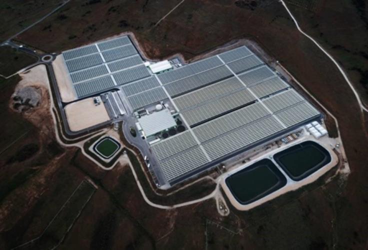 NBG + Piraeus Bank Loan for Agriculture & Bioeconomy