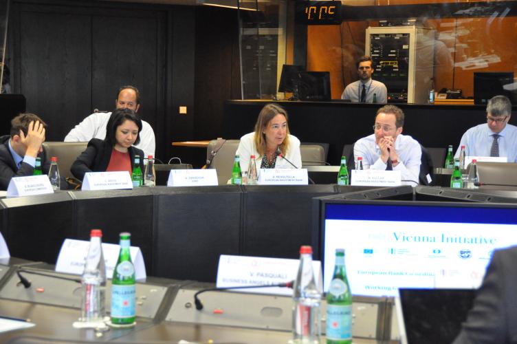 Vienna Initiative Working Group