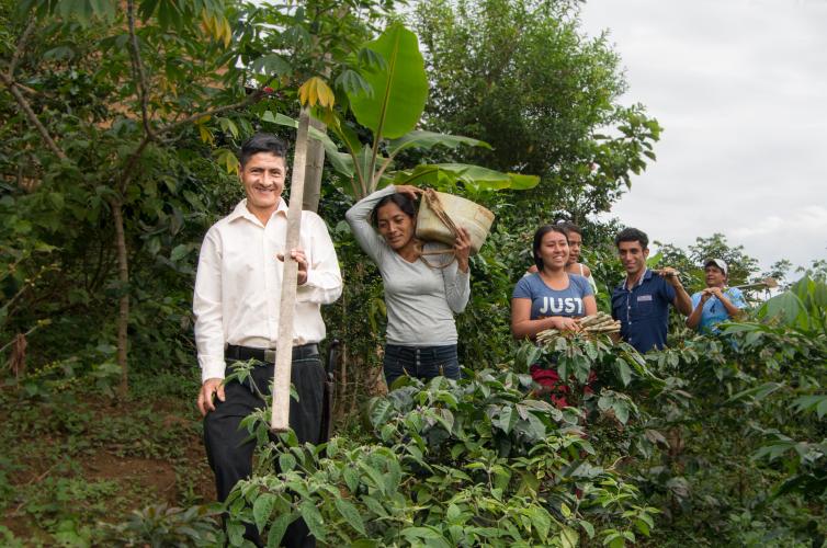 Land Degradation Neutrality Fund LCFP