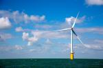 Construction of large offshore wind farm (300 MW) east of London in Thames estuary