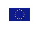 EU Emblem