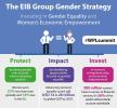 EIB Group Gender Strategy infographic used during EDD 2018