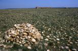 La BEI s’associe à CDC Biodiversité pour préserver la biodiversité et encourager la protection de la nature en France