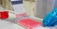 Germany: EIB provides Immunic with up to €24.5 million to support ongoing development of a potential COVID-19 therapy
