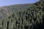 Supporting forest rehabilitation, afforestation, erosion control and forest fire-fighting activities in Turkey through the Ministry of Environment and Forestry (MoEF).
