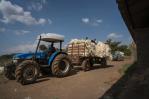 Migotiyo Plantations, sisal farm located in Kenya’s Rift Valley Province, funded by a local bank under the East & Central Africa PEFF II for SMEs & mid-caps facility
