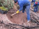 Investment programme in water, sanitation and forestry sectors in Castilla y León region, Spain