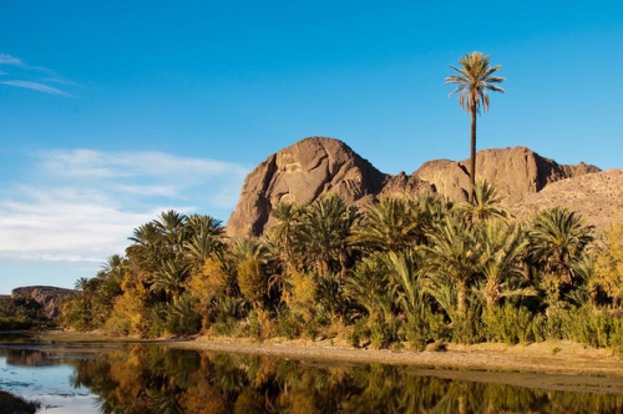 Centrale Solaire de Ouarzazate