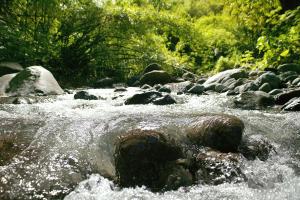 Natural Landscape
