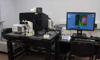 Poland University Research Support II