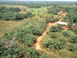 Rural Telecom Network Expansion