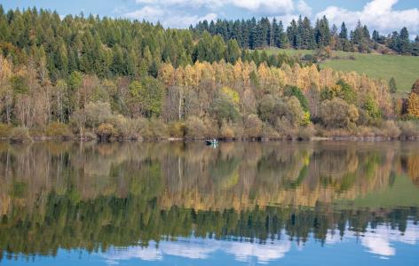 Seeing the wood for the trees in Slovakia