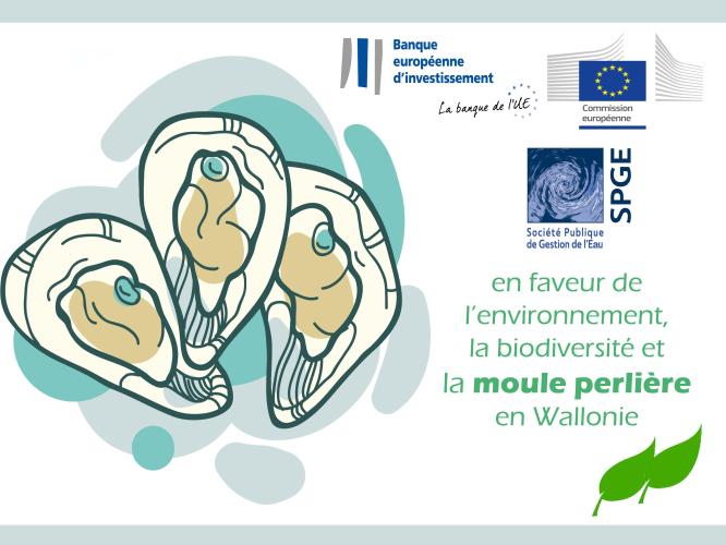 Wallonia Wasterwater and Biodiversity SPGE (NCFF)
