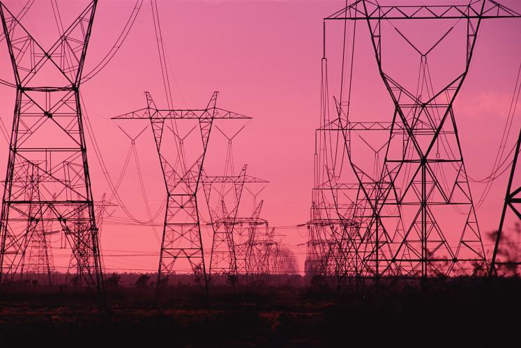 Iberdrola Power Distribution Networks