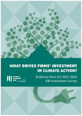 What drives firms' investment in climate action