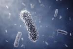 EIB supports Danish biopharmaceutical company AntibioTx in fighting multi-drug resistant bacteria